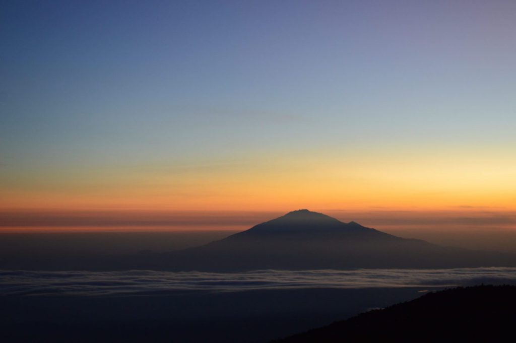 davis-orders-dtc8xC1eFY4-unsplash-scaled-e1605026945203