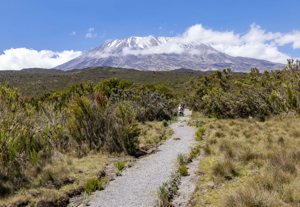kilimanjaro_road